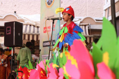 fairys-fiesta-8