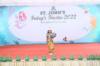 Fancy-dress-1