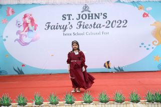 Fancy-dress-10