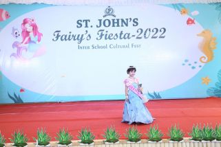 Fancy-dress-18