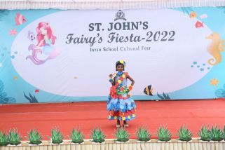 Fancy-dress-2