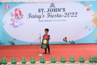 Fancy-dress-4