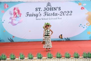 Fancy-dress-5