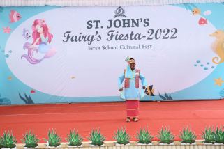 Fancy-dress-6