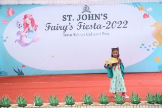 Fancy-dress-7