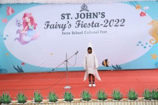 Fancy-dress-9