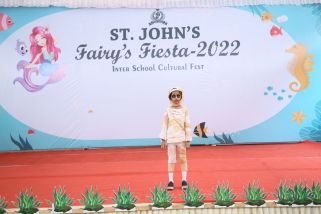 fancy-dress-11