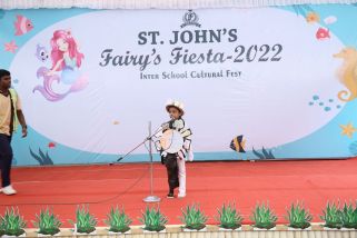 fancy-dress-8